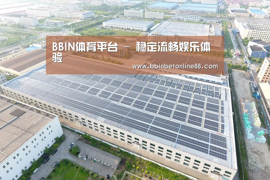 案例展示一