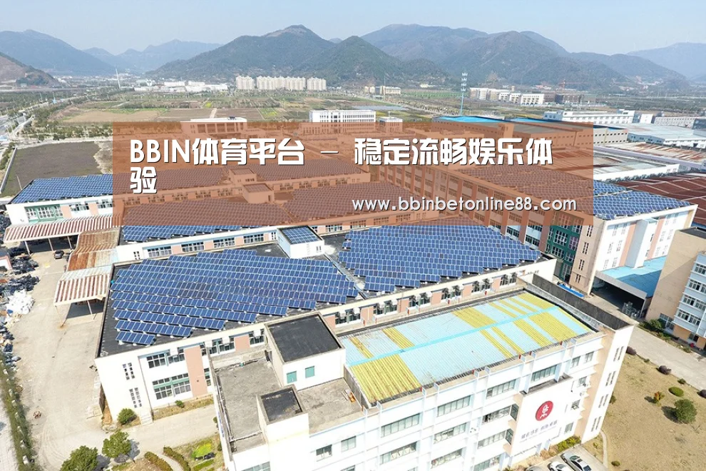 案例展示一