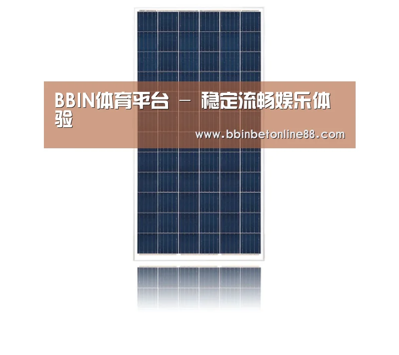 产品名称一