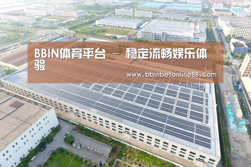 案例展示二